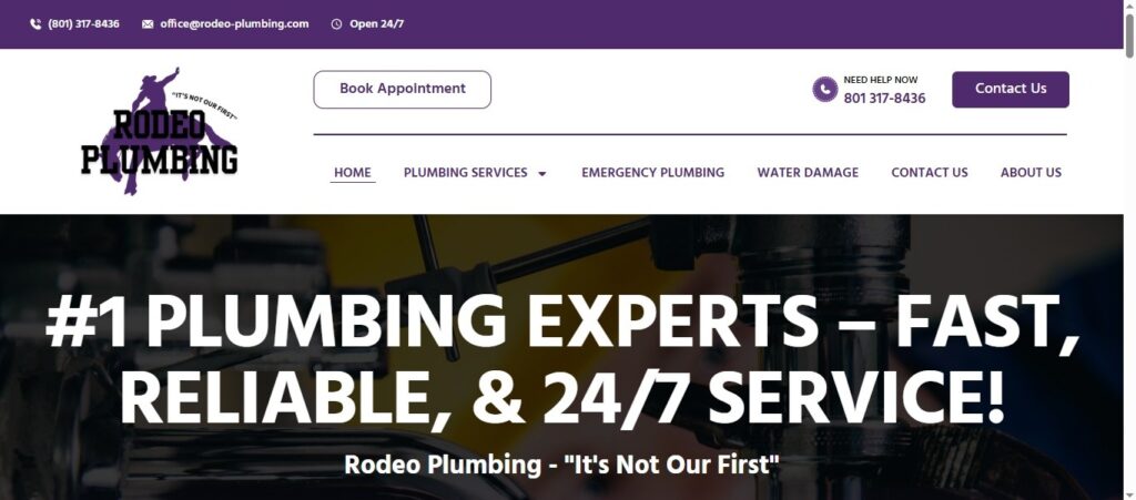 Rodeo Plumbing Inphint